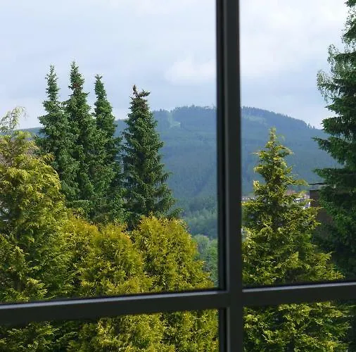 Schultz - Gruene Aue Браунлаге